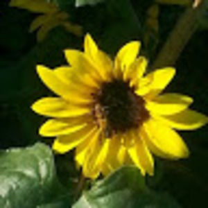 Meet your Posher, Raiza